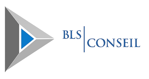 Logo BLS Conseil
