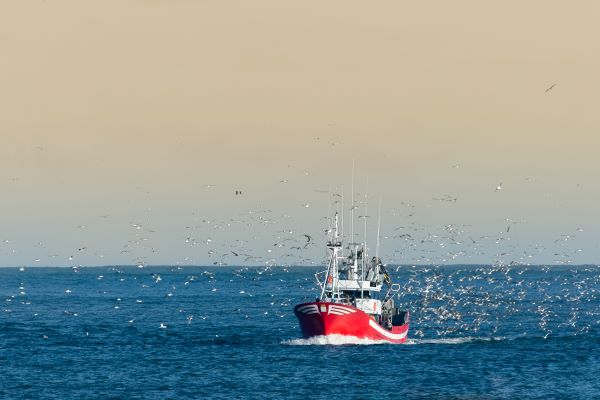 Pêcheurs : une nouvelle aide pour faire face à la flambée des prix de l’énergie